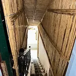 Dinosaur Anza Surf House