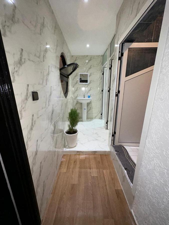 Dinosaur Anza Surf House Hostel Agadir