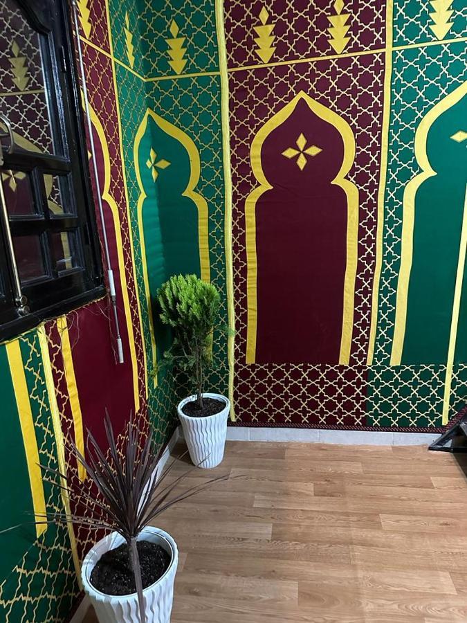 Dinosaur Anza Surf House Hostel Agadir